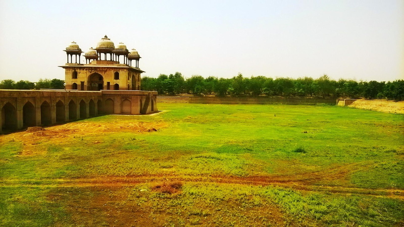 tree, india, outdoors, haryana, building, palace, nature, no people, the past, land, clear sky, building exterior, growth, grass, day, 1080P, mohalla purani mandi
