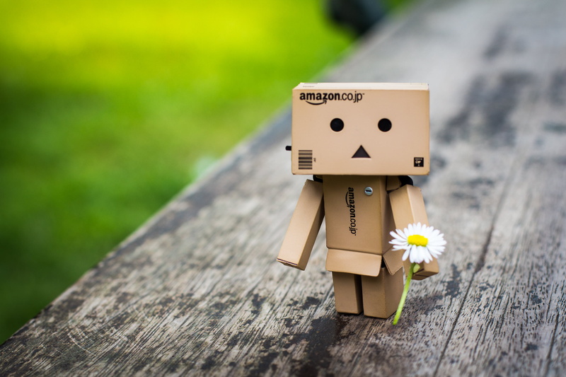 brussels, origami, white flower, shallow focus, amazon, Danbo, co, jp, canon eos 650d, Amazon.co.jp, robot, f/1.4, white, shallow, 2K, flower, bruxelles