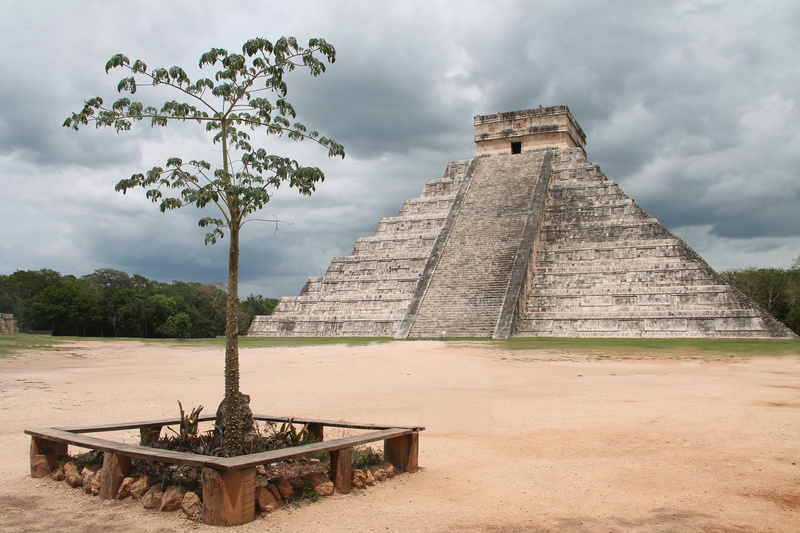 the past, tree, chichén-itza, day, historically, 4K, ancient, travel destinations, culture, church, building exterior, cloud - sky, no people, history