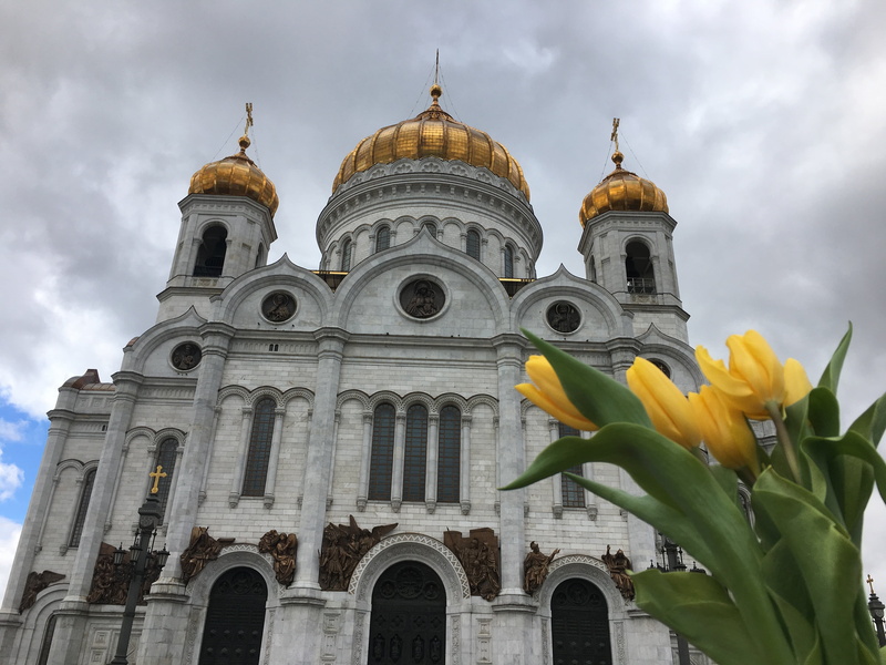 day, 4K, sights, building exterior, plant, spirituality, cultures, flowering plant, russia, church, travel destinations, architecture, flower, built structure