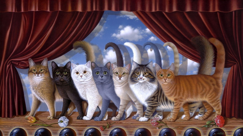 cat, chorus line, kitten, 1080P, cats, graphics, illustration, whiskers