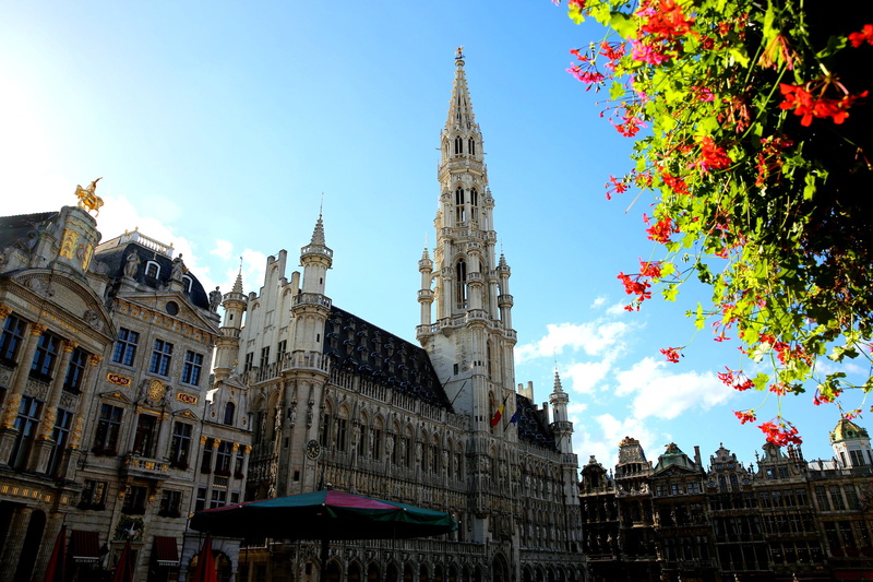 Brussels, 1080P, Belgium, flowers, La Grand-place, town hall, tree, tower