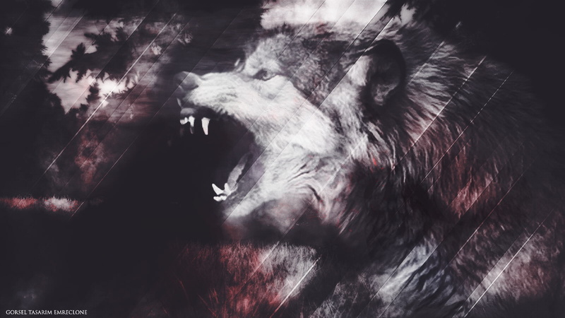 wolf, Lycan, 720P