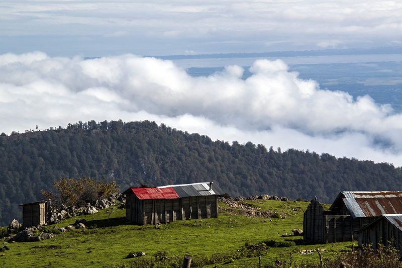 architecture, mountain, built structure, house, field, forest, outdoors, building, plant, day, nature, building exterior, hiking, iran, 4K, cabin, gilan