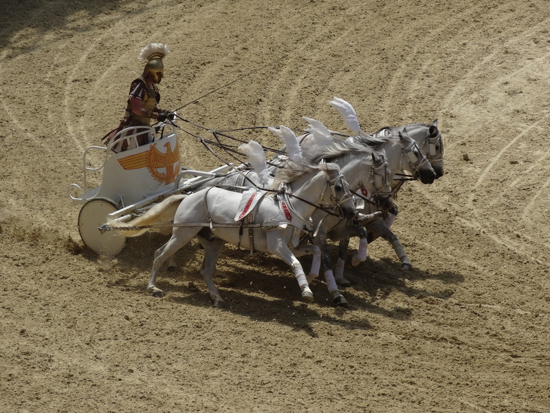 real people, helmet, mammal, adults only, empire, sports race, outdoors, vertebrate, adult, field, chariot, desert, day, two animals, arena, riding, galea