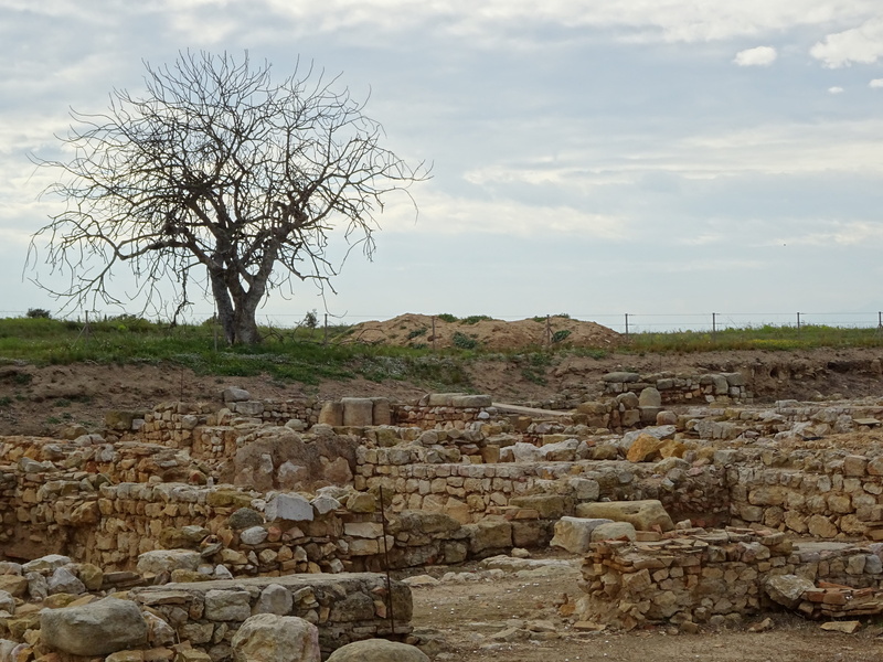 the past, ruined, ruins, architecture, nature, 5K, plant, outdoors, wall, roman construction, tree, no people, archaeology, roman remains, roman, stone