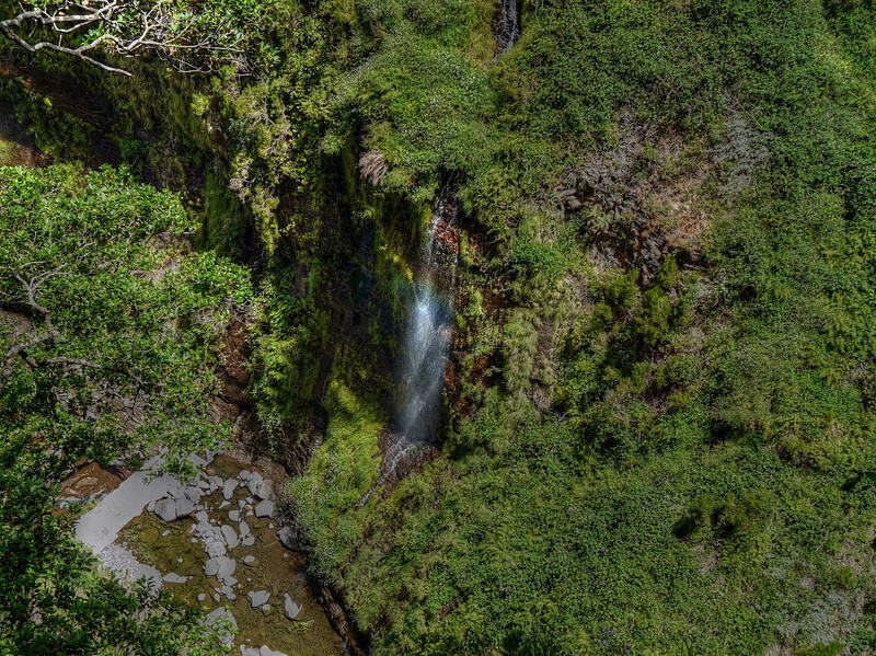 plant, azulejos, madeira, hiking, high angle view, high, mountains, day, rock, moss, tree, 2K, long exposure, tranquil scene, scenics - nature, green color