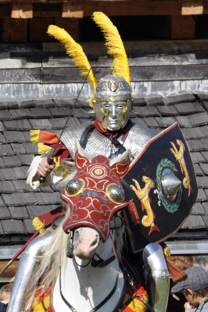 statue, shield, human representation, celebration, cavalry, representation, fight, close-up, place of worship, day, creativity, focus on foreground, warrior
