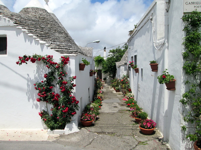 pots, flower Pot, summer, direction, travel, door, plant, greece, window, day, decoration, facade, building, the way forward, nature, town, building Exterior