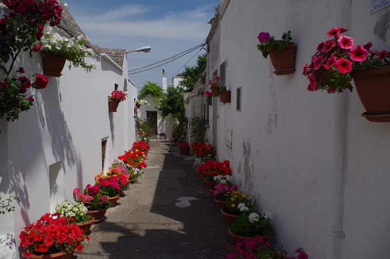 beauty in nature, Alberobello, bouquet, day, freshness, country, building exterior, italy, holidays, flowering plant, architecture, fragility, the way forward