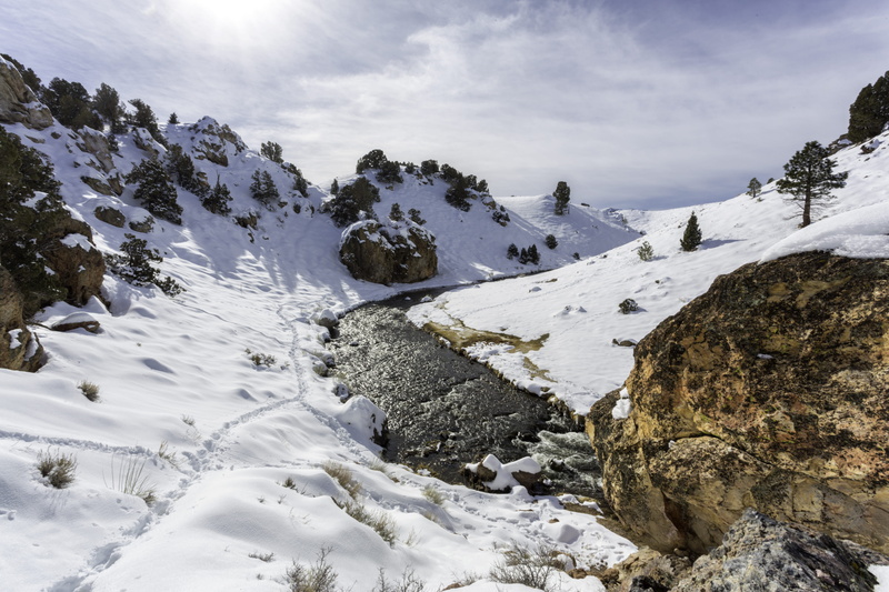 snowcapped mountain, solid, cold temperature, rock - object, live, snow, no people, lost, tree, tranquility, 5K, coniferous tree, mountain, weater, foot print