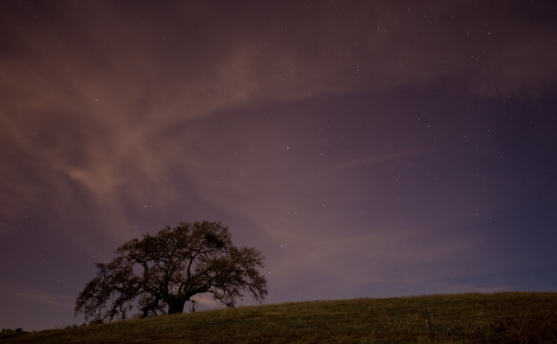 star - space, live oak, the big dipper, tranquil scene, space, live, field, plant, land, sky, tranquility, Hills, environment, star field, saptarishi, ursa major