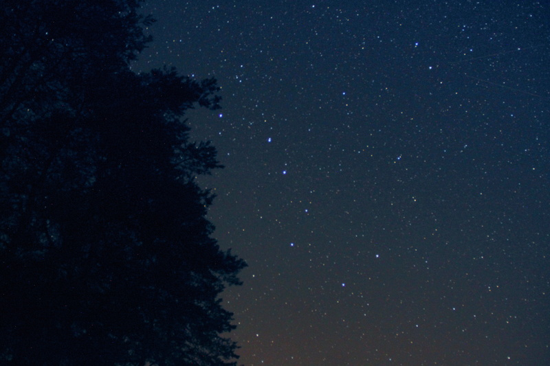 silhouette, space, constellation, united states, luminosity, plant, scenics - nature, summer sky, tranquility, wellsville, nature, star - space, star, tranquil scene