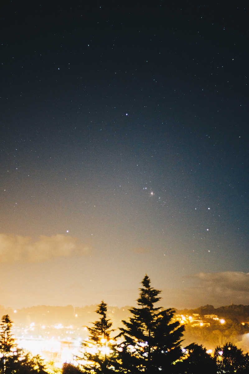 star, tranquility, auckland, silhouette, plant, growth, scenics - nature, constellation, star - space, light pollution, streetlight, astronomy, night, sky