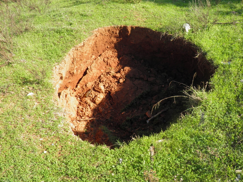 field, grass, shadow, tree, outdoors, sunlight, Hole, nature, Sinkhole, environment, agriculture, growth, deep, Geology, landscape, wood, Water, bark, plant