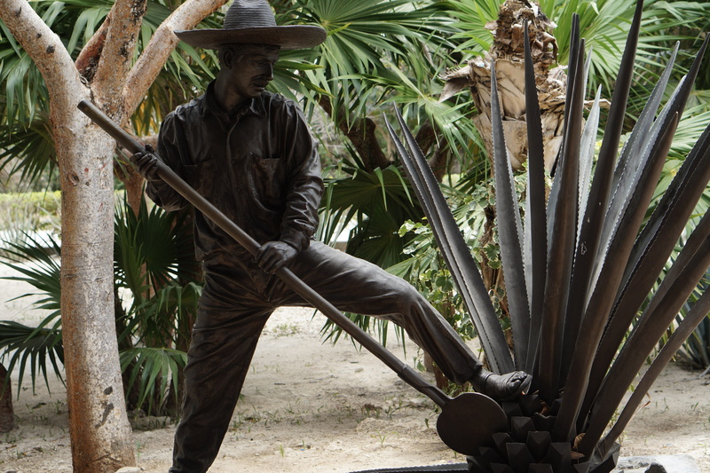 nature, plant, travel, one person, palm leaf, land, day, casual clothing, tulum, field, real people, mexico, mexican, maya, lifestyles, statue, outdoors