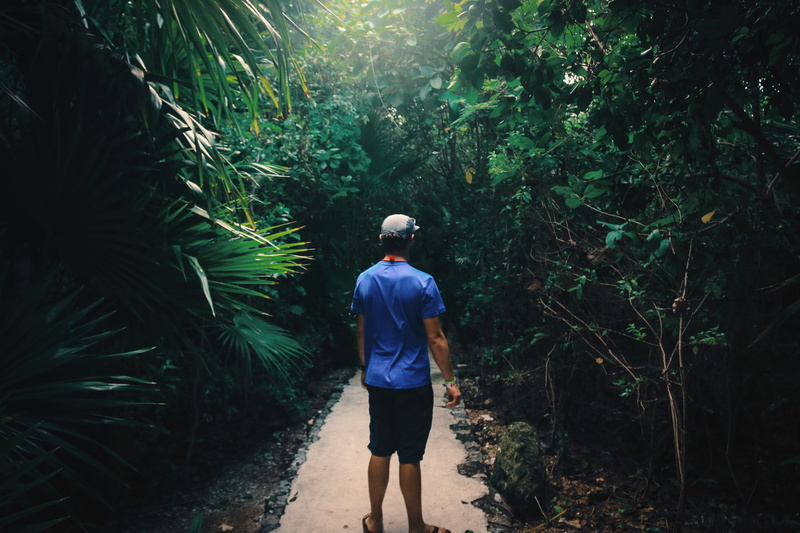 men, green color, mexico, tree, serene, plant, standing, green, walking, 5K, tropical, leisure activity, outdoors, one person, rear view, forest, path