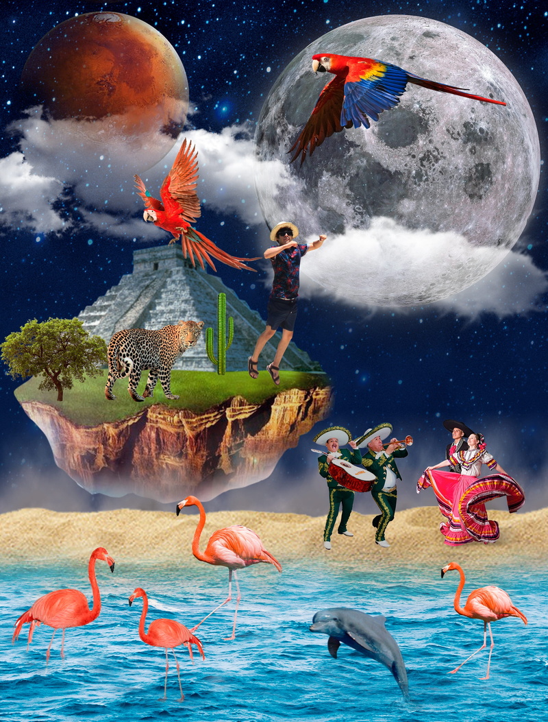  group of people, sea, dolphin, land, digital composite, moon, sky, love, men, multi colored, group of animals, people, macaw, flamingo, background