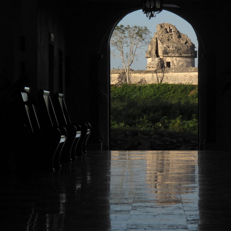 built structure, sunlight, window, reflection, no people, plant, history, Maya, crypt, architectural column, indoors, flooring, building, Mexico, Caracol