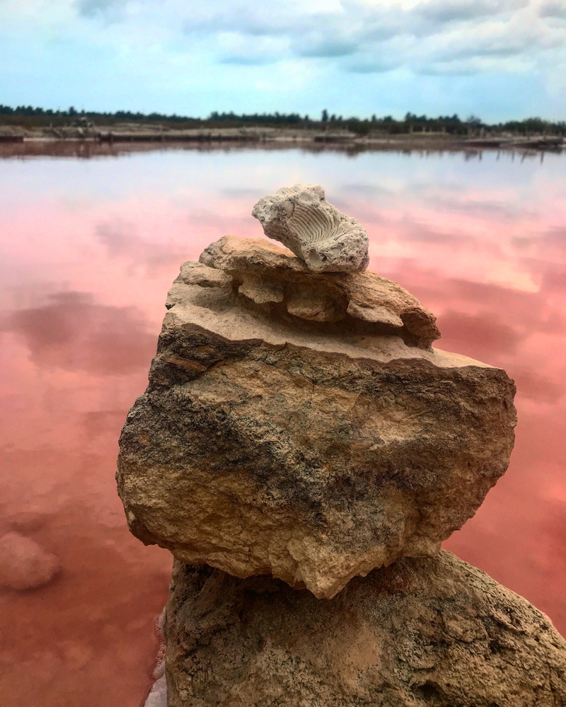 scenics - nature, nature, stone - object, archaeology, pink, sky, rock - object, no people, bird, san crisanto, tranquility, animal, 2K, lagoon, outdoors