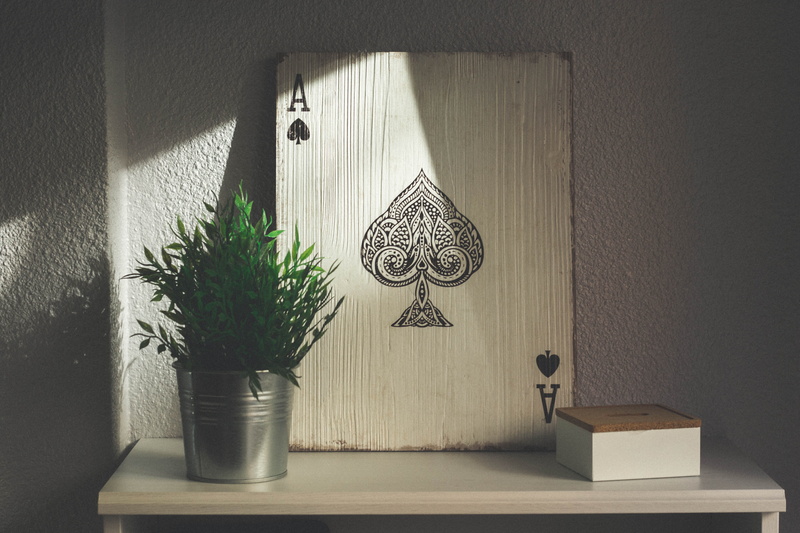 green color, houseplant, green, table, growth, place, spain, wall - building feature, indoor, valladolid, wood - material, home interior, grey, potted plant
