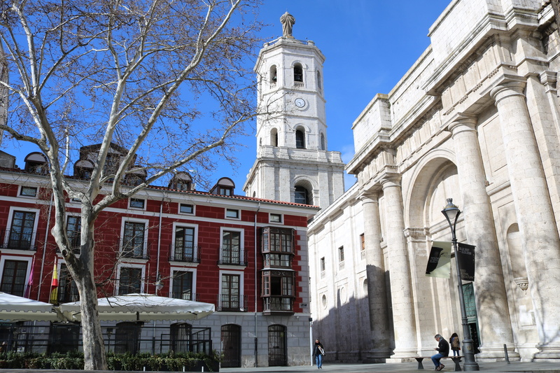 city, nature, 5K, place of worship, sky, low angle view, building, spring, the past, tree, bare tree, history, valladolid, religion, university, architecture
