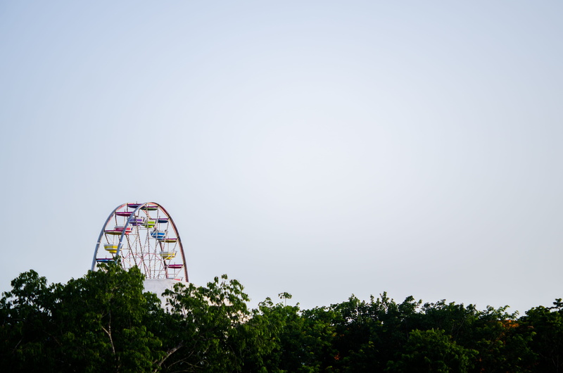 tree, playa del carmen, day, no people, rueda de la fortuna, arboles, 4K, built structure, sky, cielo, nature, rueda, outdoors, amusement park ride, clear sky