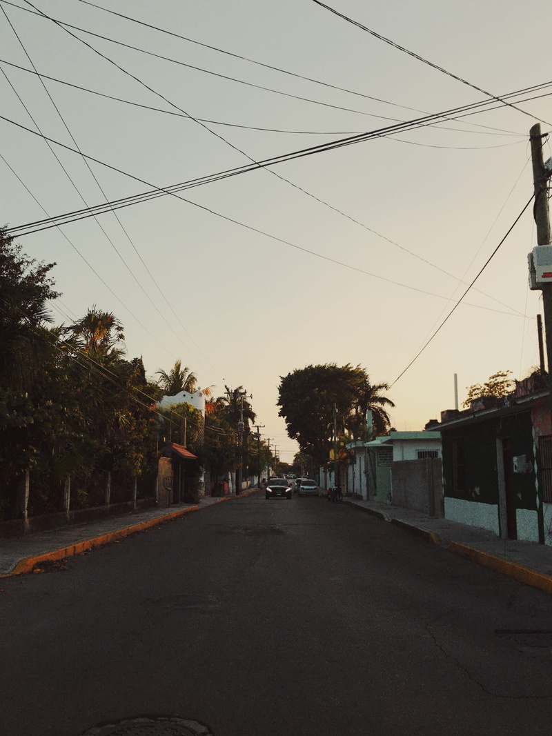tree, street, connection, nature, tropical, built structure, car, trees, technology, outdoors, telephone pole, 1080P, architecture, electricity, transportation