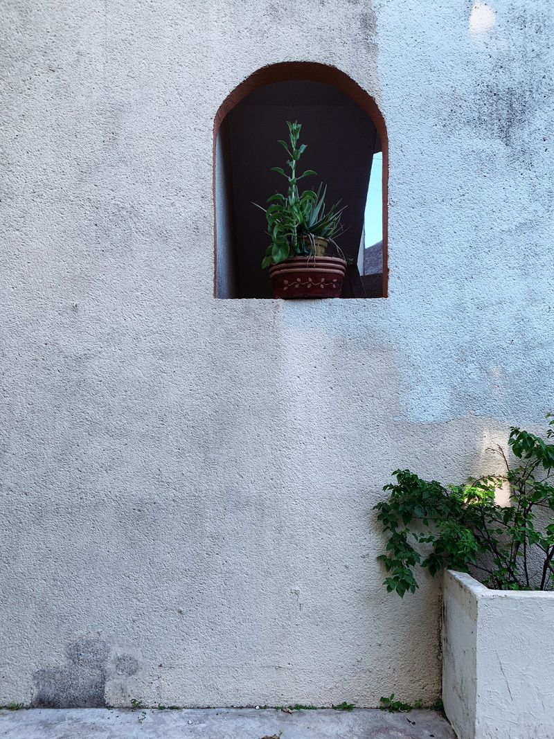playa del carmen, built structure, green color, wall - building feature, tree, growth, mexico, wall, potted plant, white, plant, green, outdoors, clay