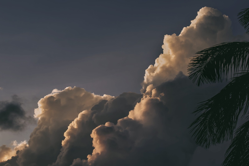 stormy clouds, playa del carmen, 8K, plant, land, palm tree, beauty in nature, astronomy, nimbus, storm cloud, scenics - nature, sunset, low angle view