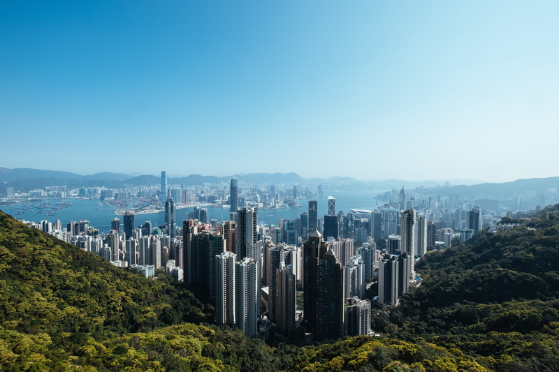 trees, tall - high, china, ocean, built structure, financial district, hong kong, building exterior, clear sky, scenics - nature, sky, bay, architecture