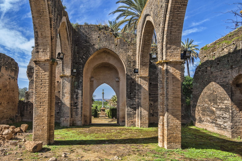 nature, tree, ruined, arch, history, the past, stone wall, 2K, architectural column, sunlight, travel destinations, plant, day, building, outdoors, built structure