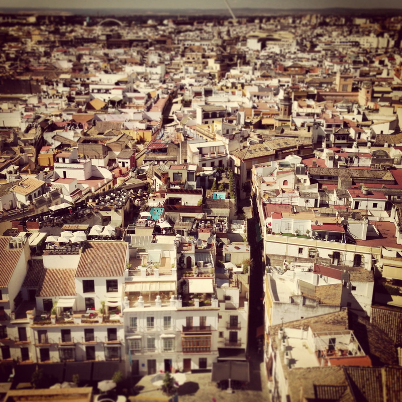 cityscape, holiday, street, contrast, community, settlement, town, village, house, seville, focus, high angle view, civilisation, small, travel, residential district