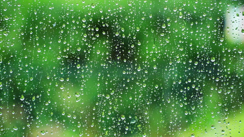 beauty in nature, weather, droplets, green color, close-up, day, rainwater, close, backgrounds, drops of rain, drop, freshness, glass - material, no people