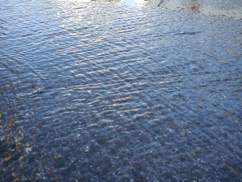 line network, flow, wave, reflection, motion, purity, shallow, shiny, pattern, waterfront, rippled, backgrounds, sea, no people, full frame, day, rainwater