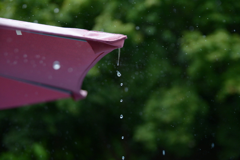 snowing, weather, monsoon, Trickle, plant, umbrella, summer, protection, outdoors, 2K, pool, selective focus, close-up, motion, camping, nature, wet, Gutter