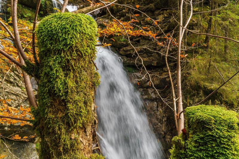 beauty in nature, day, mountain water, motion, flowing, landscape water, atmosphere, water, gorge, creek, steep, growth, trees, mood, bach, outdoors, green