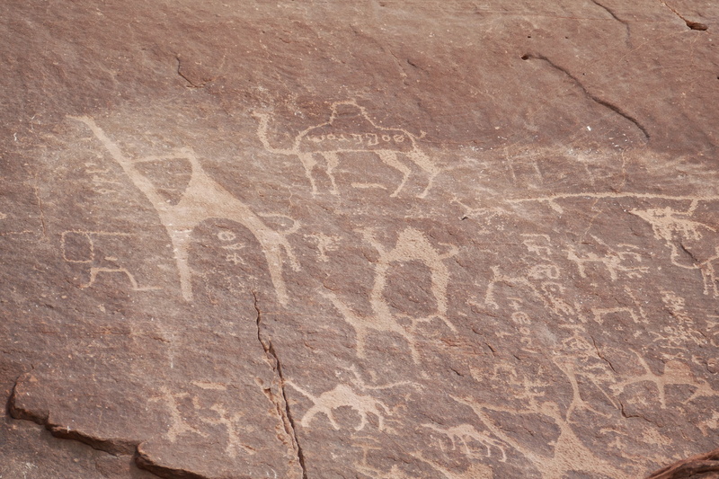 textured, wadi, sandstone, no people, backgrounds, animal representation, representation, animal, primitive, desert, rock - object, camel, nature, outdoors