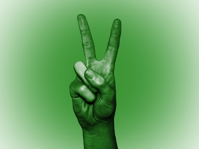 studio shot, libya, unrecognizable person, hand sign, human hand, banner, arab, finger, communication, human finger, close-up, one person, men, colored background
