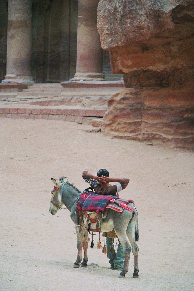 riding, travel, donkey, gorge, unesco, holiday, petra, people, day, domestic animals, break, the red, canyon, two animals, nabataeans, temple, indiana jones
