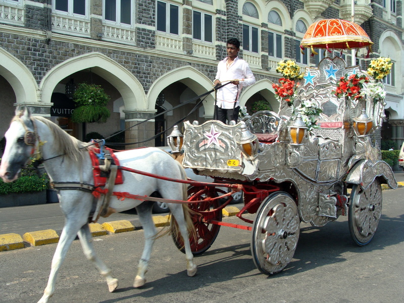 vintage, horse cart, building exterior, full length, mumbai, riding, working animal, animal, traditional, antique, domestic, city, mode of transportation