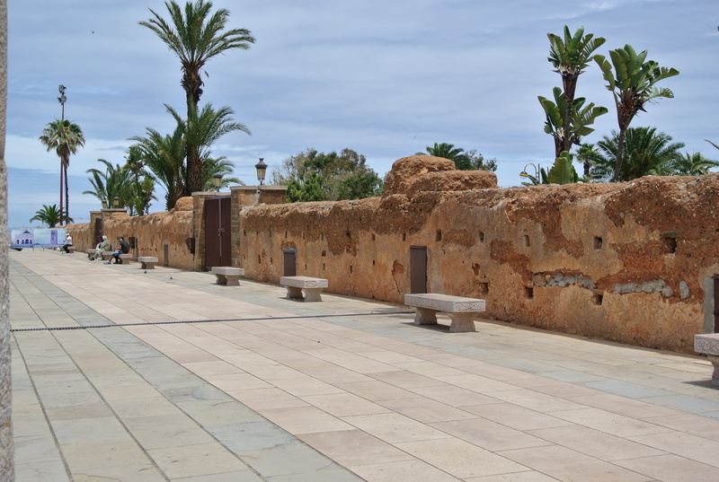 palm, ancient, old, walls, stone, nature, tree, no people, vicinity, the past, design, plant, Rabat, 2K, historical, outdoors, sky, sunlight, architecture