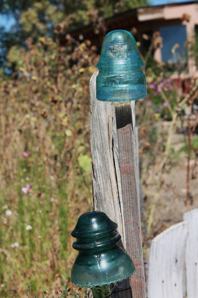 old glass insulators, close-up, blue, old, plant, day, green, landscape design, no people, growth, nature, santa fe, field, outdoor art, wood - material