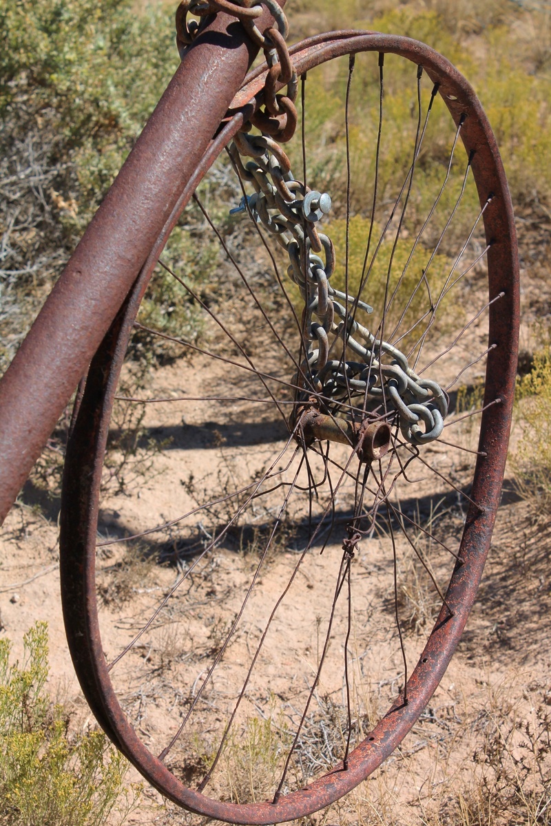 xeriscaping, field, tree, bicycle, outdoor art, damaged, deterioration, recycled art, xeriscape, santa fe, southwestern art, metal, desert, wheel, amber avalona