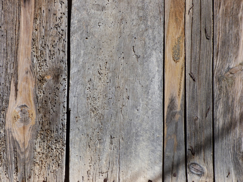 wall - building feature, textured effect, outdoors, full frame, no people, rotten, weathered, planks, backgrounds, plank, material, surface level, close-up