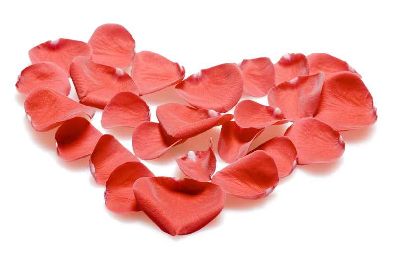 no people, romantic, food and drink, scattered, red, freshness, pink color, rose, isolated, valentines day - holiday, petals, 4K, flower, group, gift