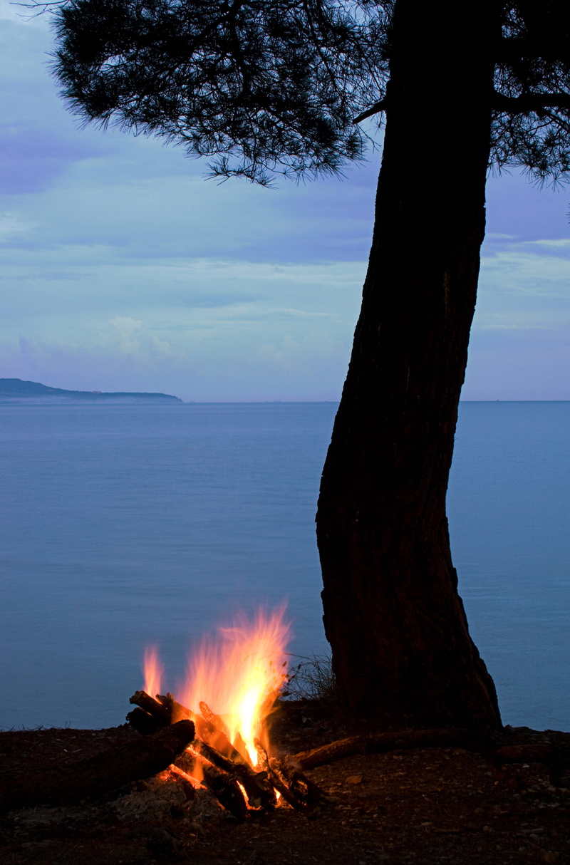 scenic, plant, water, no people, bonfire, horizon over water, con2011, tranquil scene, landscape, tree, land, sky, sea, campfire, heat - temperature, nature