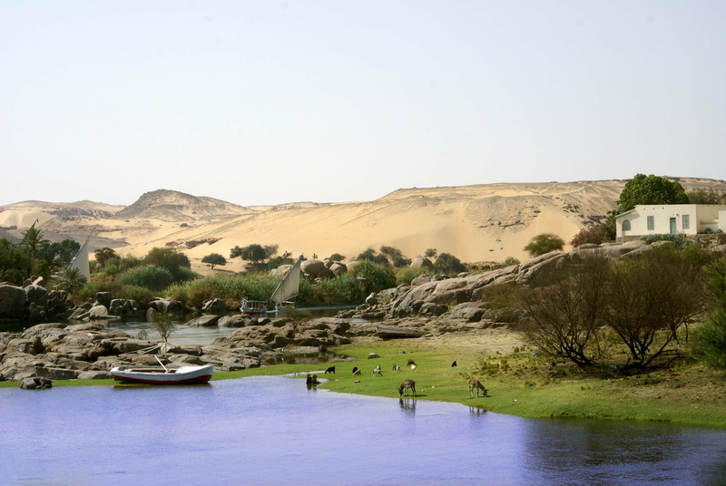 desert, nile, near, tranquility, 4K, environment, forest, group of people, tranquil scene, leisure activity, beauty in nature, boat, landscape, river