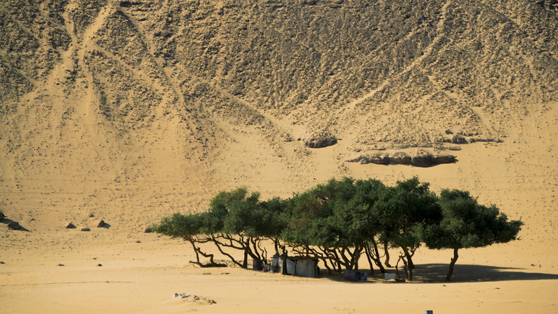 nature, egypt, desert, arid climate, day, no people, seat, 4K, outdoors, sunlight, plant, mountain, tree, beauty in nature, sand, beach, table, aswan