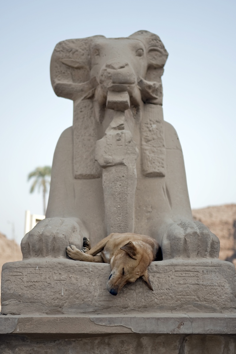solid, built structure, egypt, sculpture, creativity, art and craft, human representation, belief, sky, 4K, sleeping, male likeness, egyptian god, mammal
